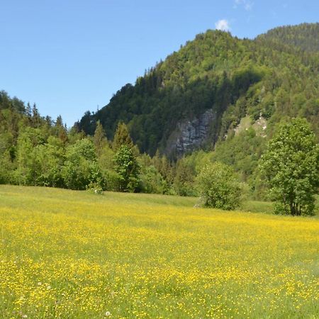 Heustubn Ferienwohnungen Unken Extérieur photo